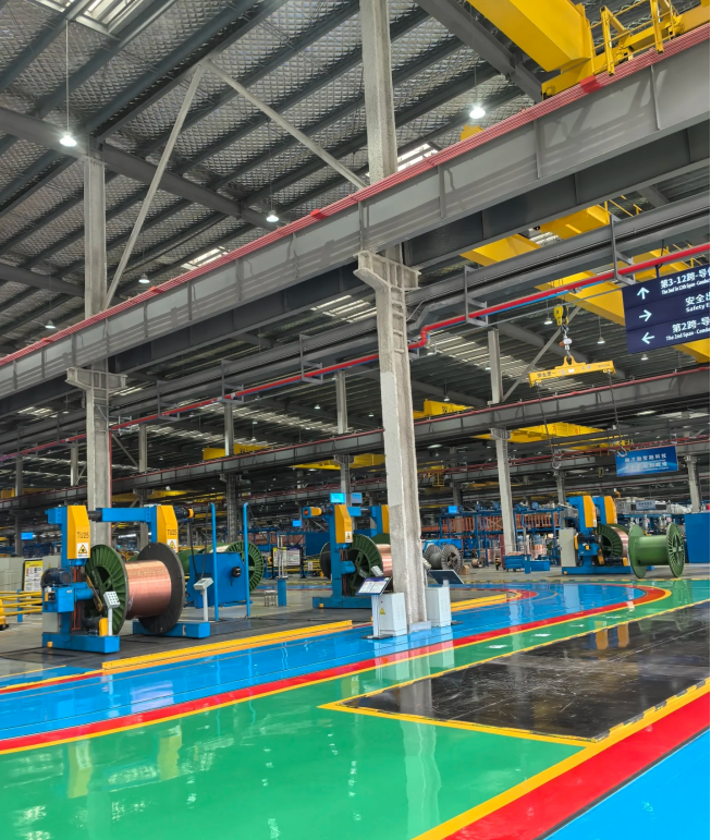 1748919122136918.jpg 6.jpg